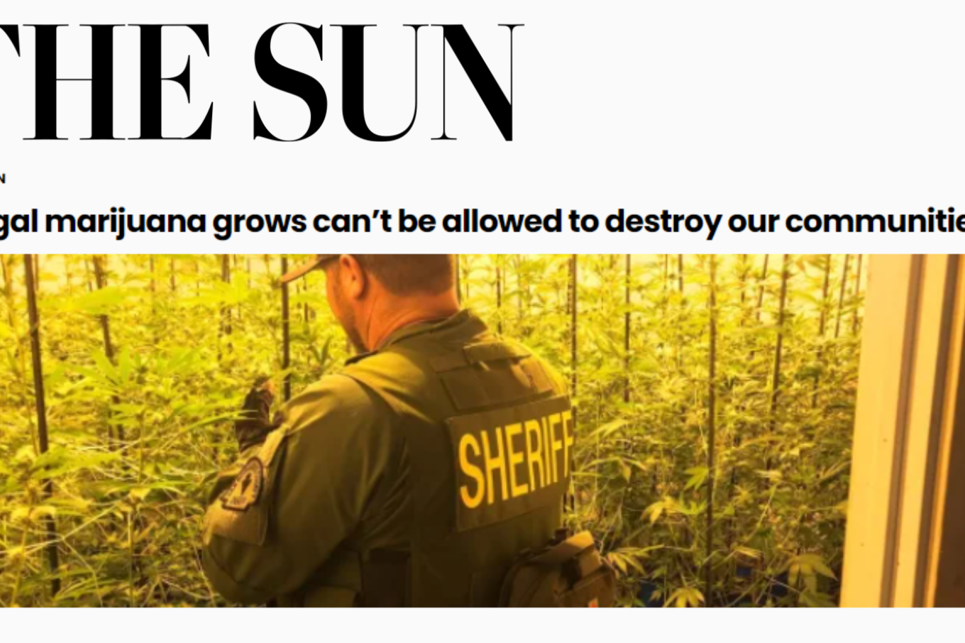 San Bernardino Sun Headline: Illegal marijuana grows can’t be allowed to destroy our communities
